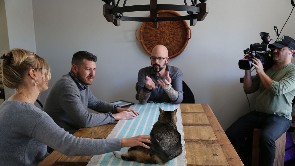 der katzenflüsterer