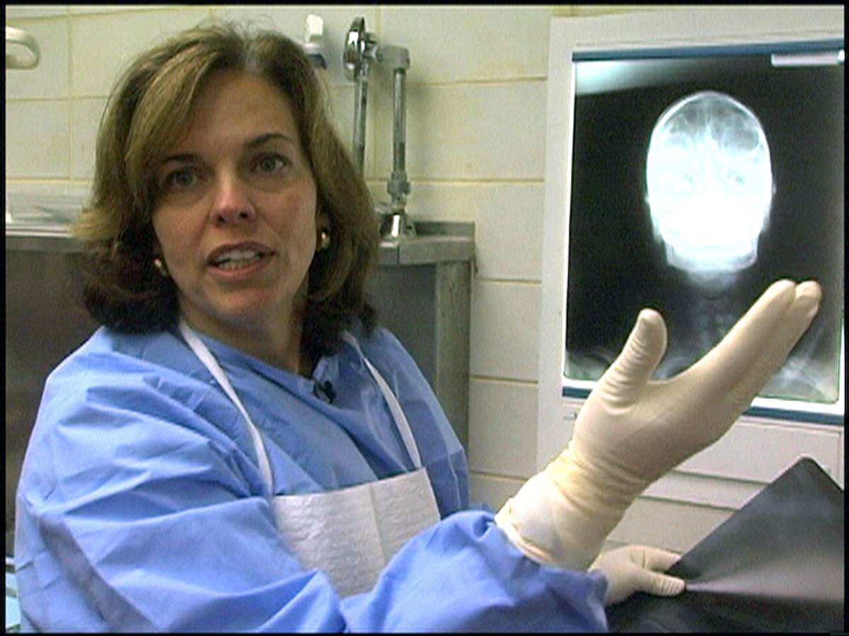Dr. G - Beruf: Gerichtsmedizinerin dr. g - beruf: gerichtsmedizinerin