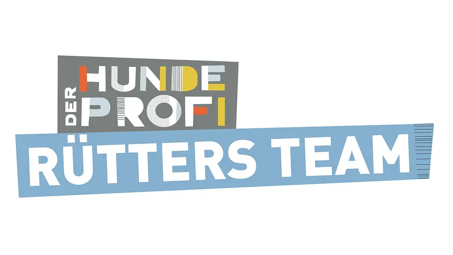 der hundeprofi - rütters team