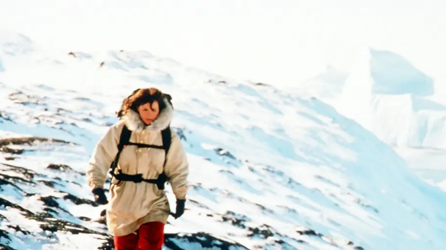 Fräulein Smillas Gespür für Schnee fräulein smillas gespür für schnee