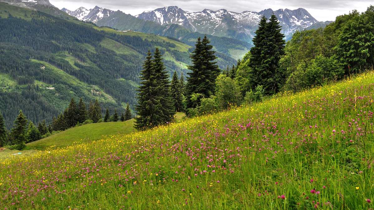 abenteuer alpenüberquerung - vom tegernsee nach sterzing