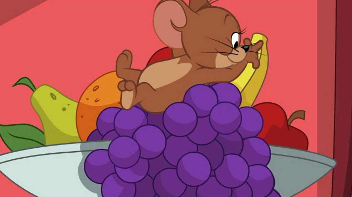 die tom und jerry show