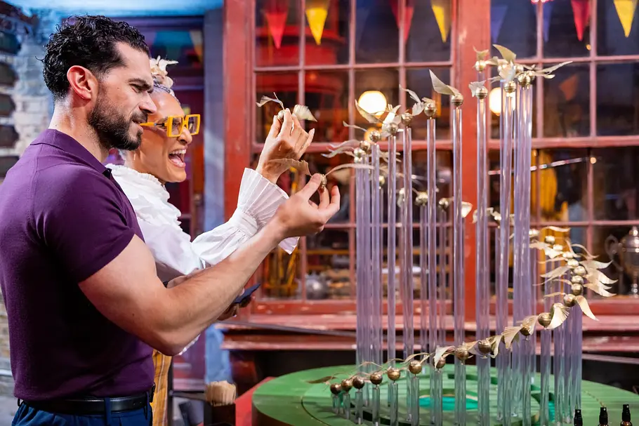Harry Potter Wizards of Baking harry potter wizards of baking