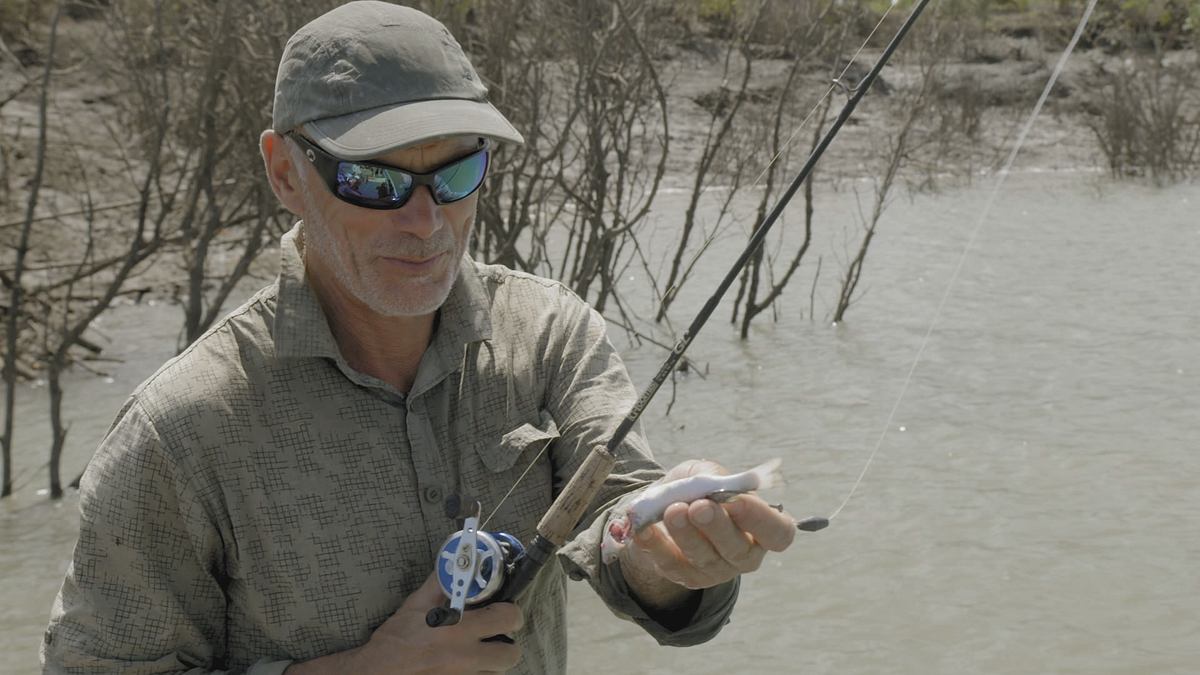 dark waters mit jeremy wade