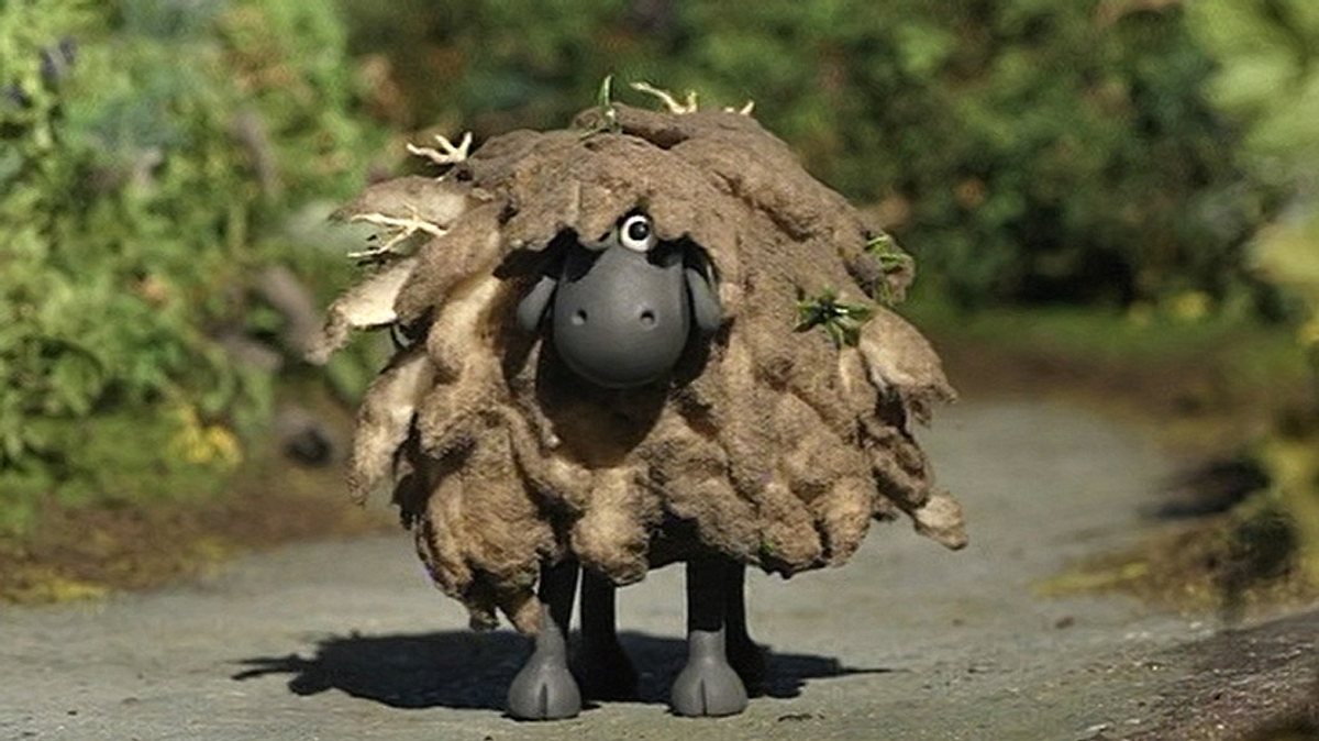shaun das schaf
