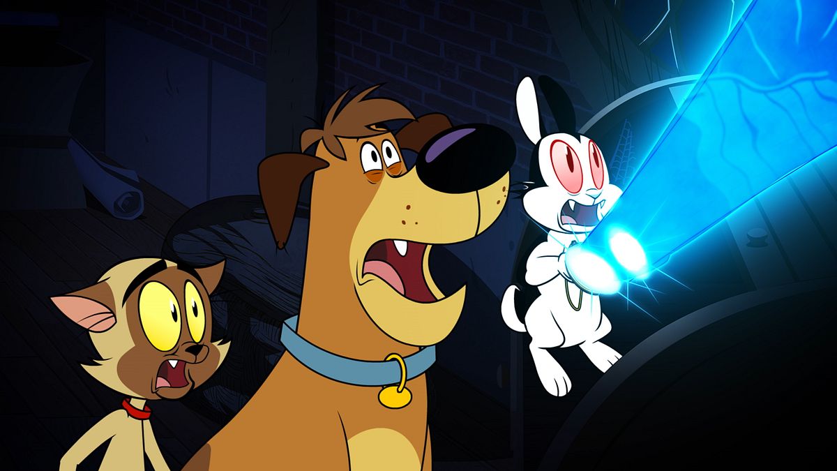Bunnicula bunnicula
