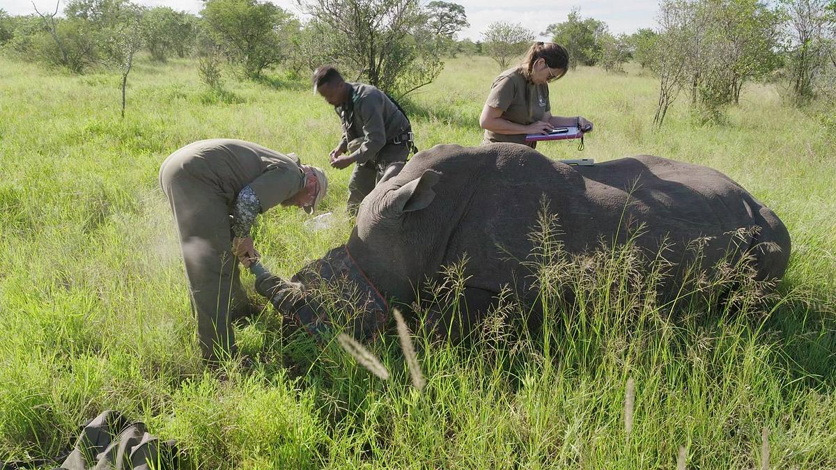 extreme airport africa