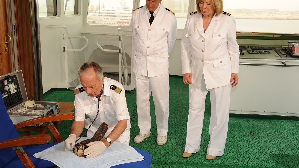 das traumschiff