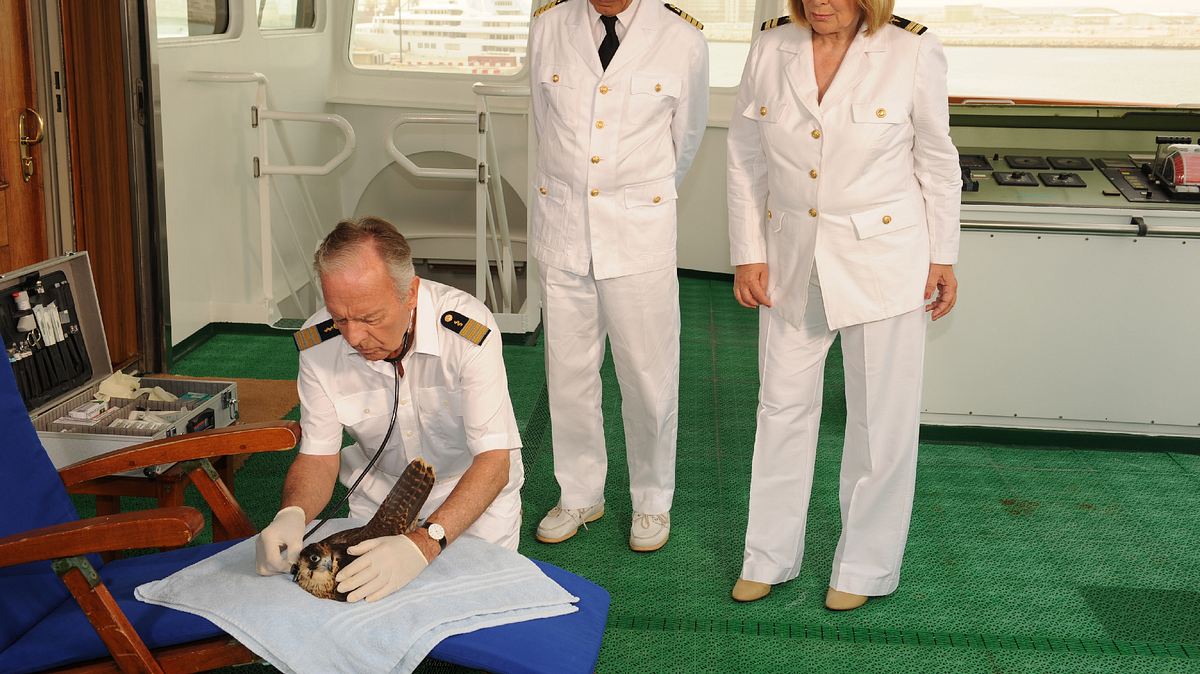 das traumschiff