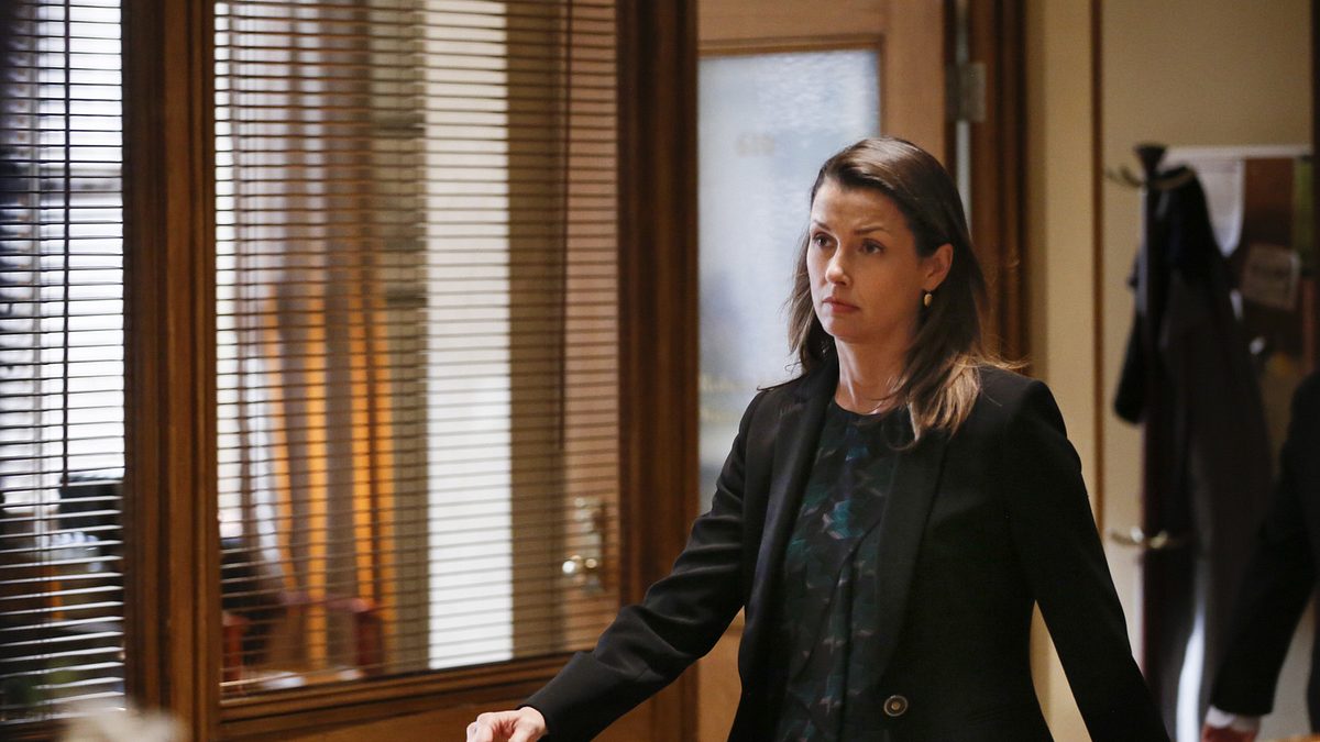 blue bloods - crime scene new york