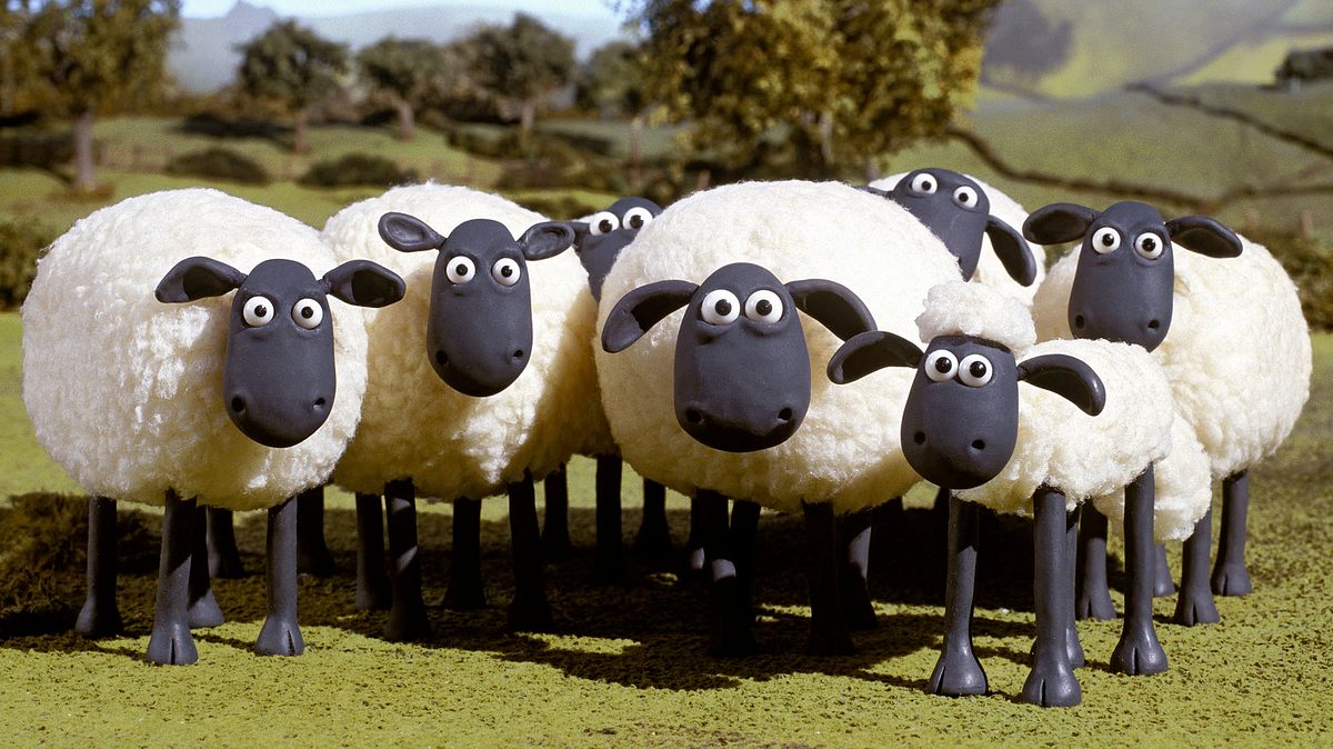 shaun das schaf