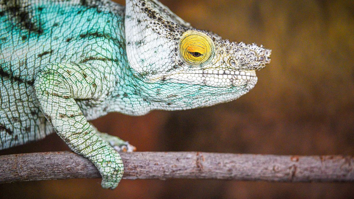 zoo und so - tierisch wild!