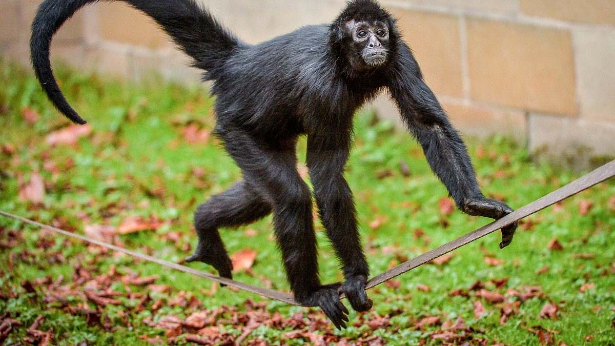 zoo und so - tierisch wild!