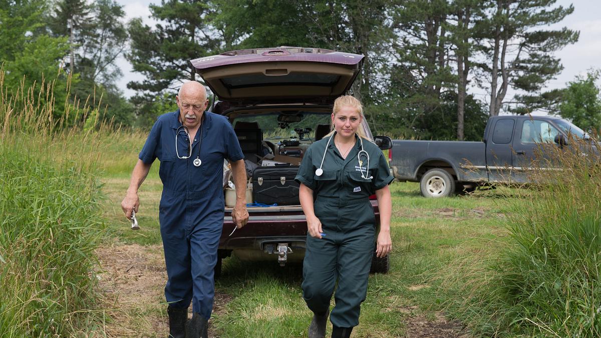 der unglaubliche dr. pol