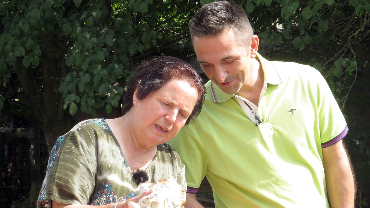 der trödeltrupp - das geld liegt im keller