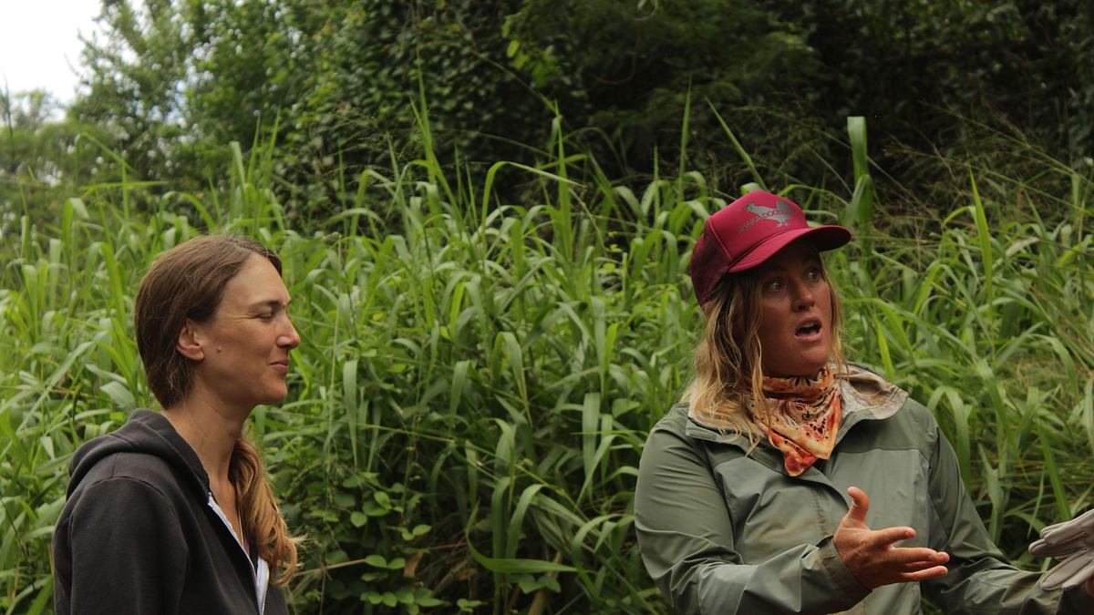 home rescue - wohnen in der wildnis