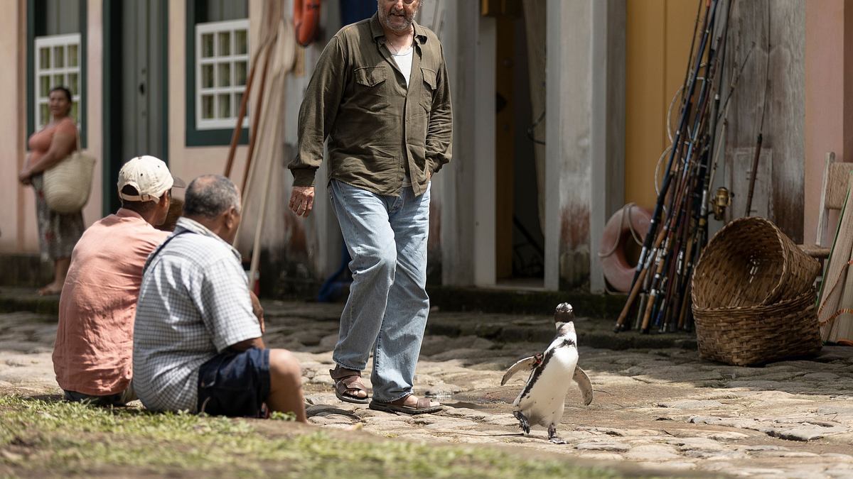 my penguin friend