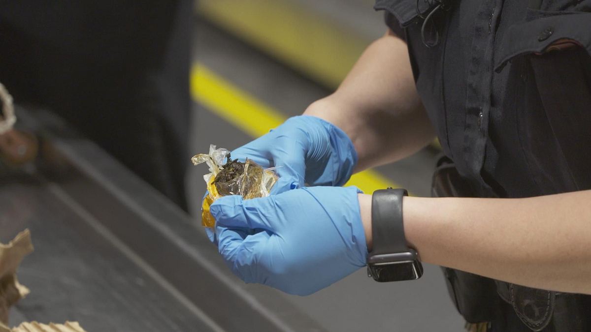 u.s. border patrol - einsatz an der grenze