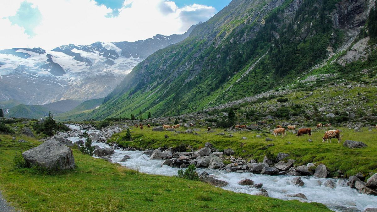 auf den gipfeln des pinzgau