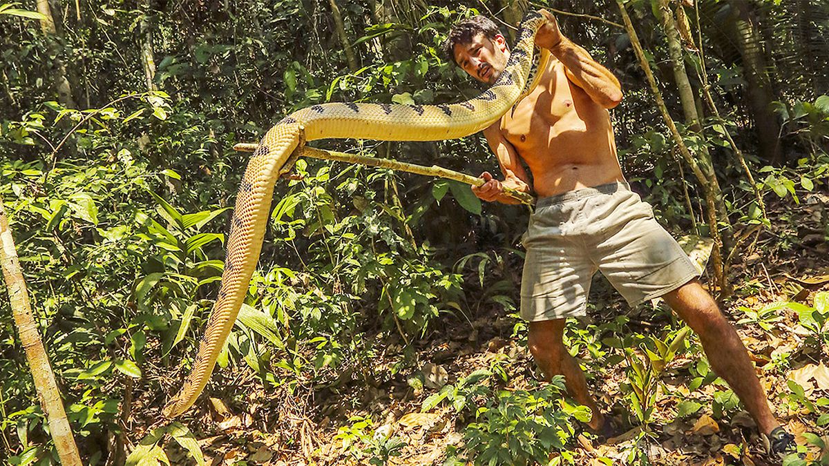 andrew ucles - born to be wild