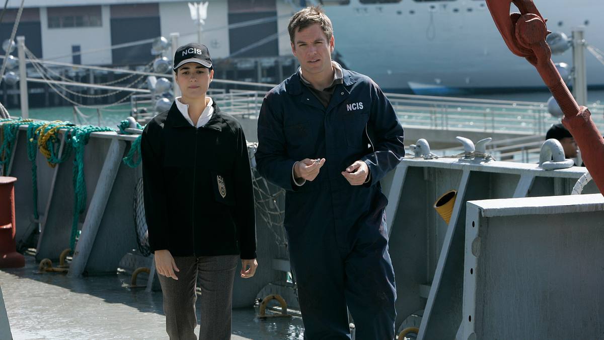 navy cis