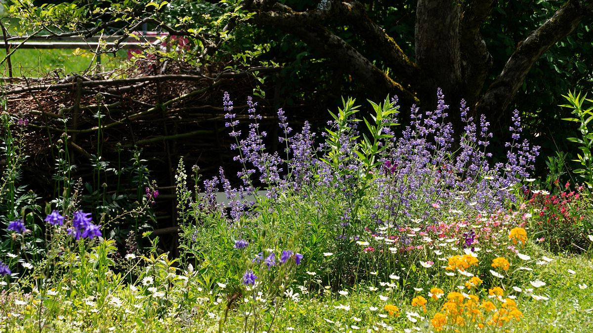 natur im garten