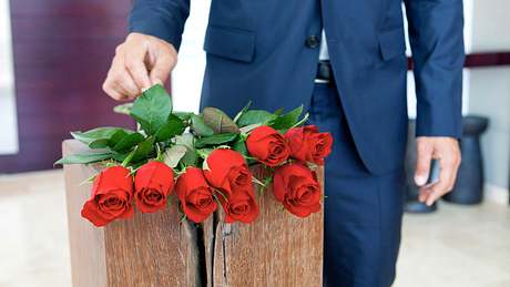 Der Bachelor - Foto: RTL