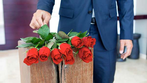 Der Bachelor - Foto: RTL