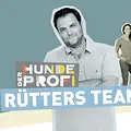 Der Hundeprofi - Rütters Team Thumbnail