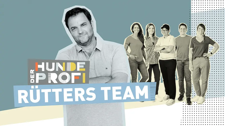 Der Hundeprofi - Rütters Team