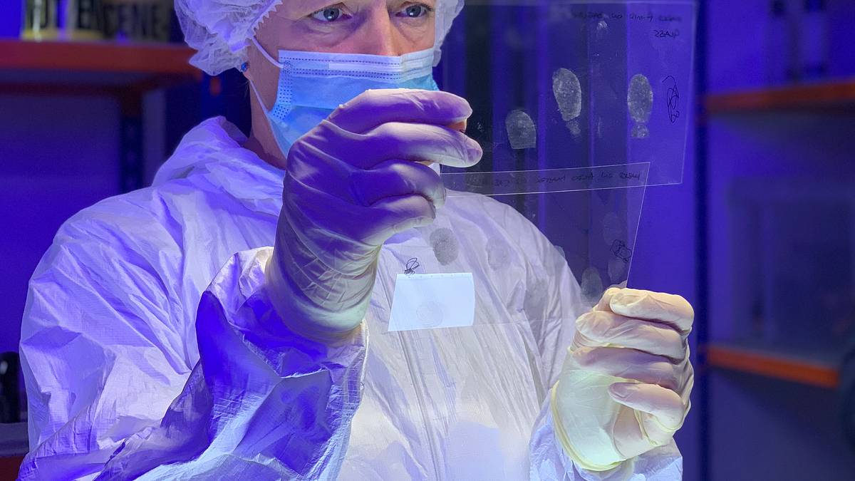 am ort des verbrechens - forensiker auf spurensuche