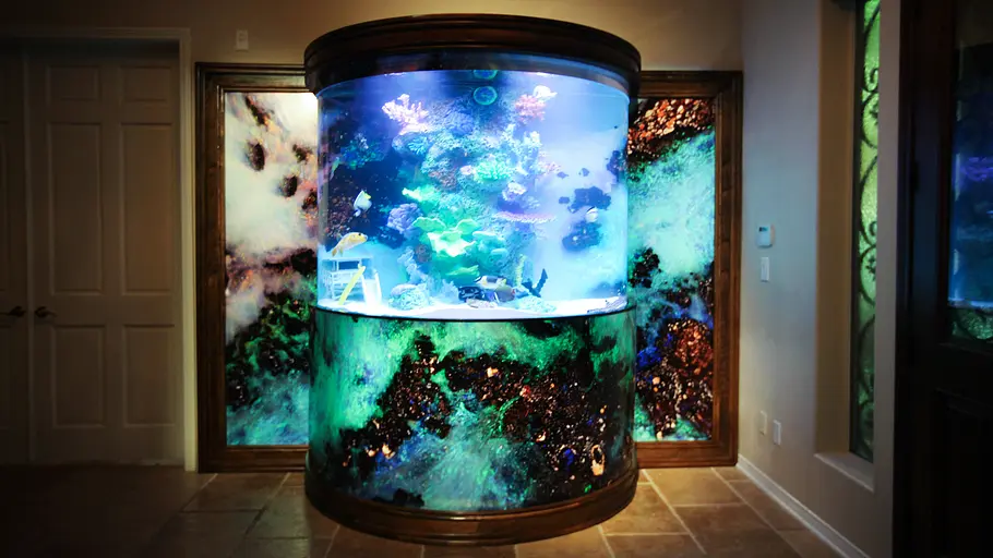 Die Aquarium-Profis die aquarium-profis