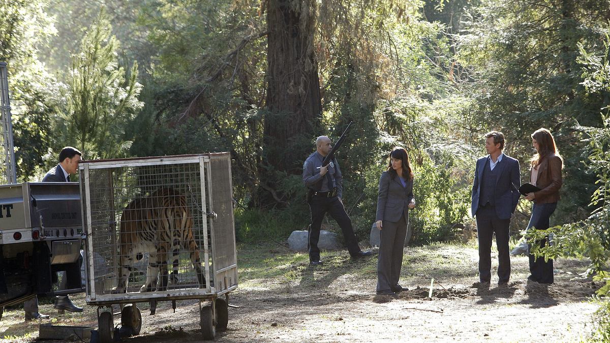 the mentalist
