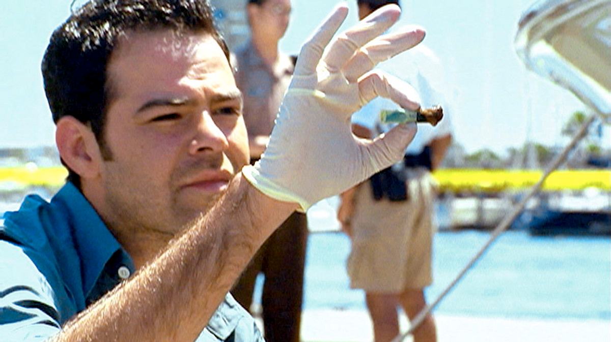 csi: miami