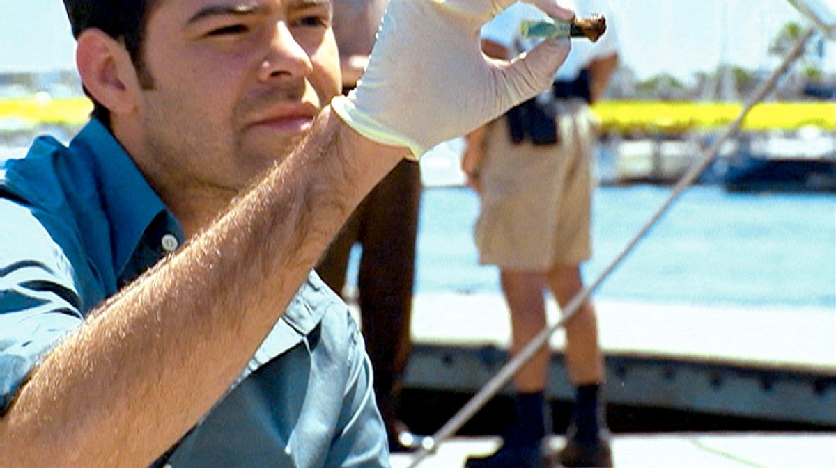 csi: miami