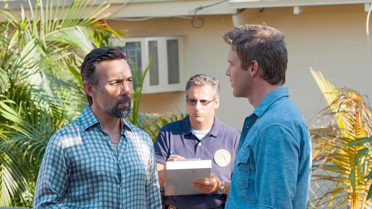 the glades
