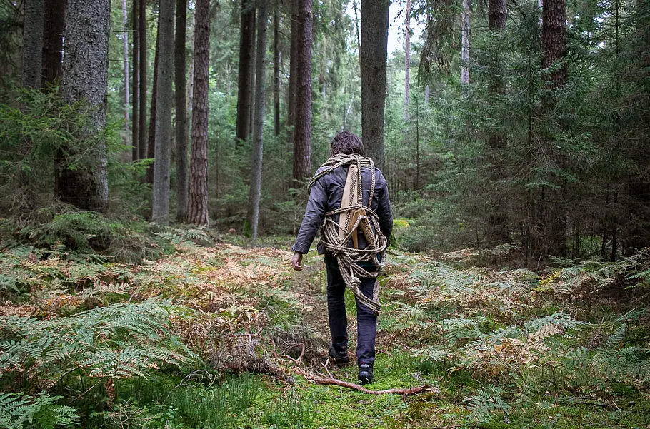 Die Zeidler von Augustów - Piotr und die Waldbienen die zeidler von augustów - piotr und die waldbienen