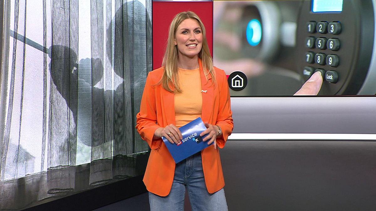 ntv service