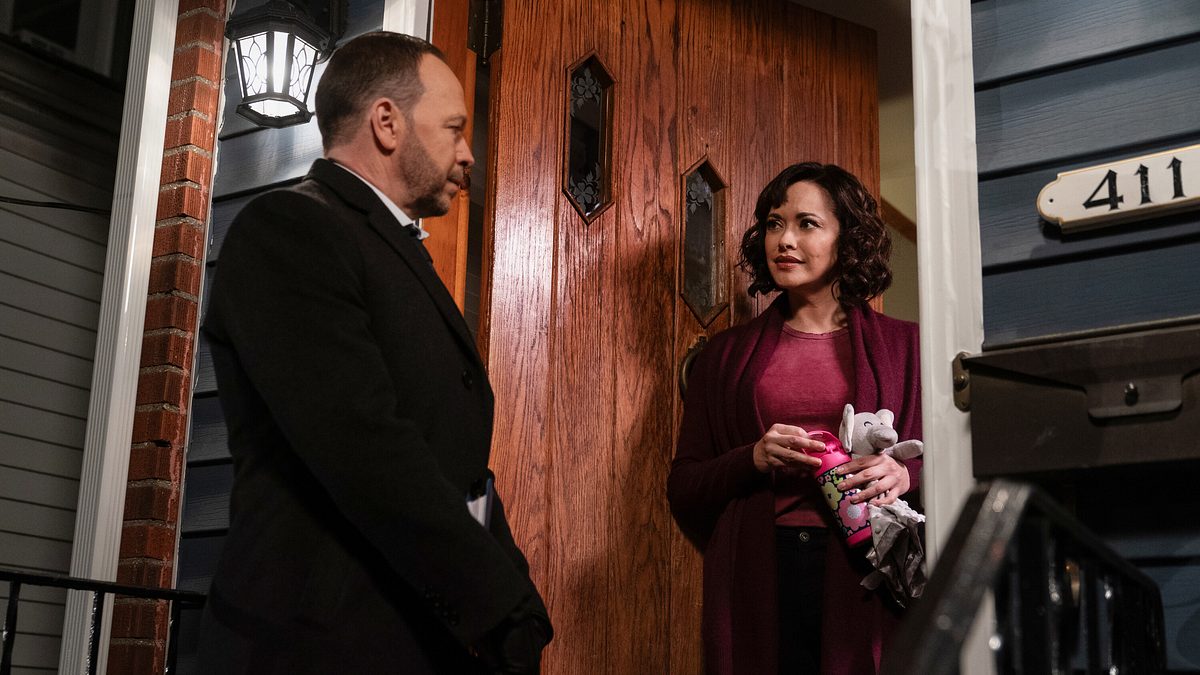 blue bloods - crime scene new york