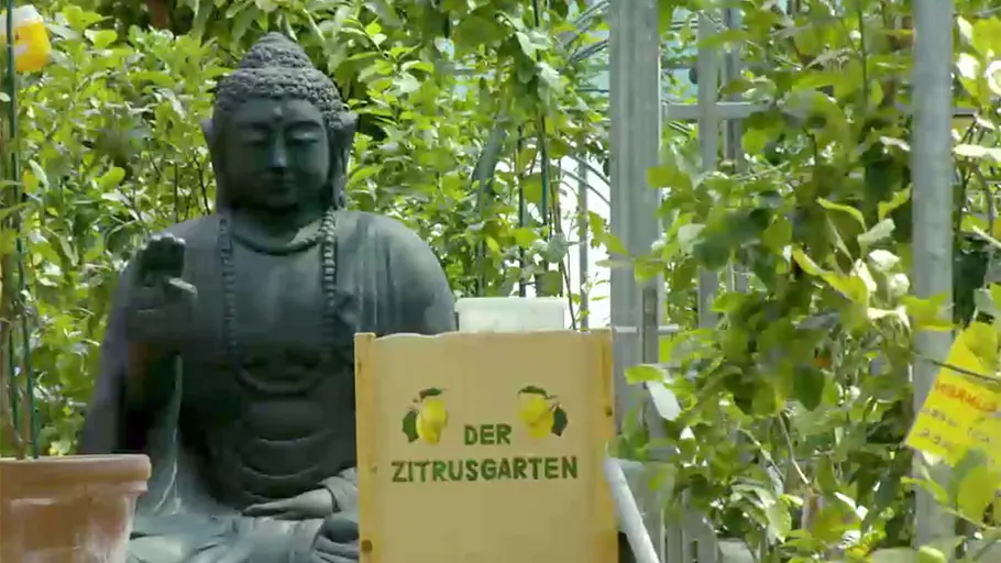 3satThementag: Naturschönheit Kärnten 3satthementag: naturschönheit kärnten