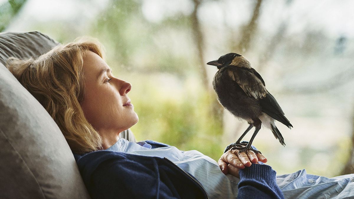 beflügelt - ein vogel namens penguin bloom