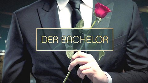 Das sind die neuen Bachelors 2025! - Foto: RTL