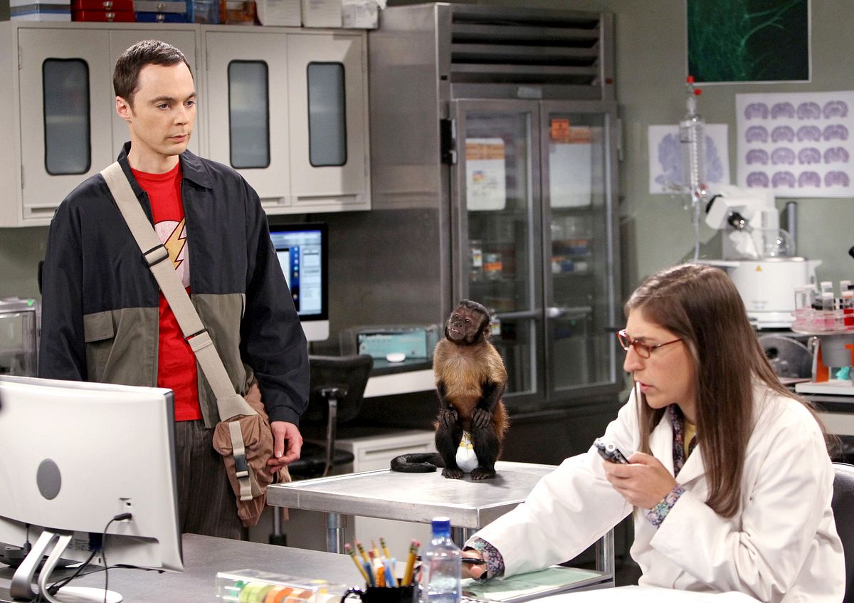 Sheldon Cooper Zitate