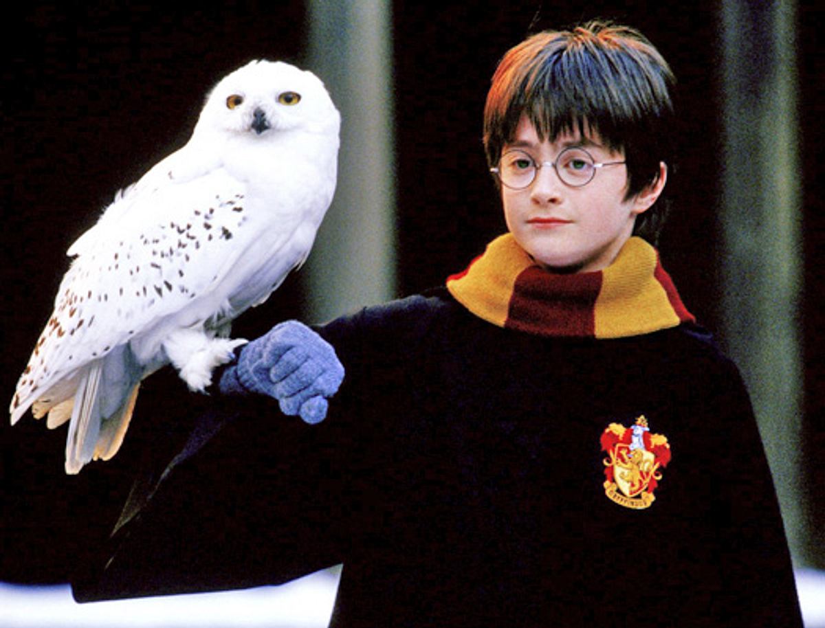 potter1.jpg