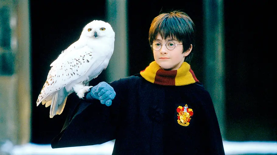 „Harry Potter und der Stein der Weisen“