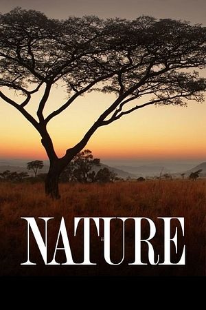 Nature - Foto: TMDB