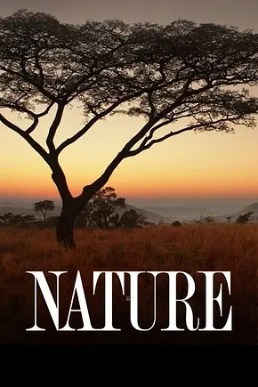 Nature - Foto: TMDB