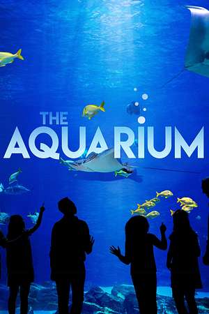 Das Atlanta-Aquarium - Foto: TMDB