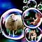 Dollys Erbe - Zwischen Heilung und Hybris Thumbnail