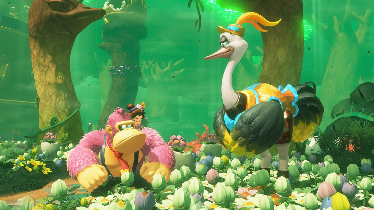 Donkey Kong Bananza DK und Straß DK schaut ernst einen Strauß an in Donkey Kong Bananza